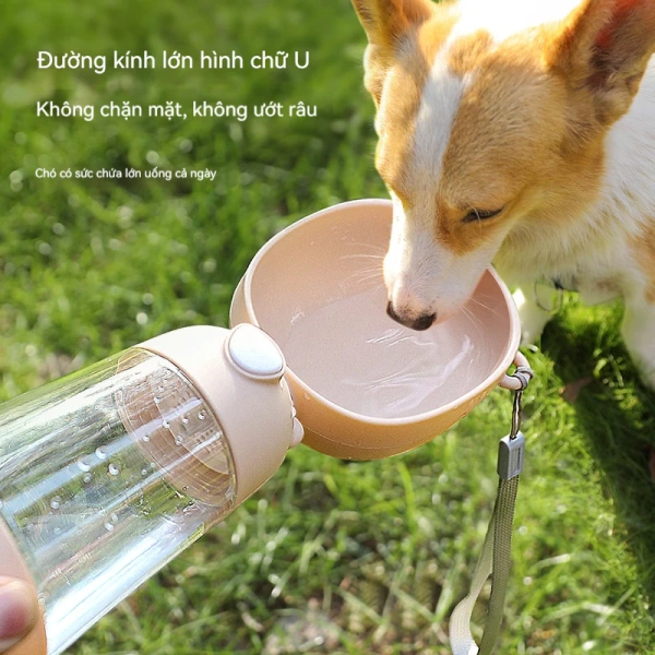 Thực tế sau tuần dùng cốc 2 trong 1 không rò rỉ cho chó mèo: tiện lợi hay những bất ngờ đáng chú ý