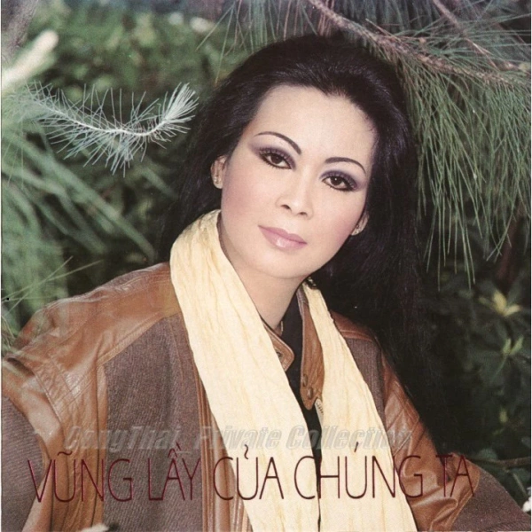 Tiếng vang bất ngờ từ đĩa CD 3381 trong phòng nhỏ hé lộ tầm quan trọng của cách bố trí loa