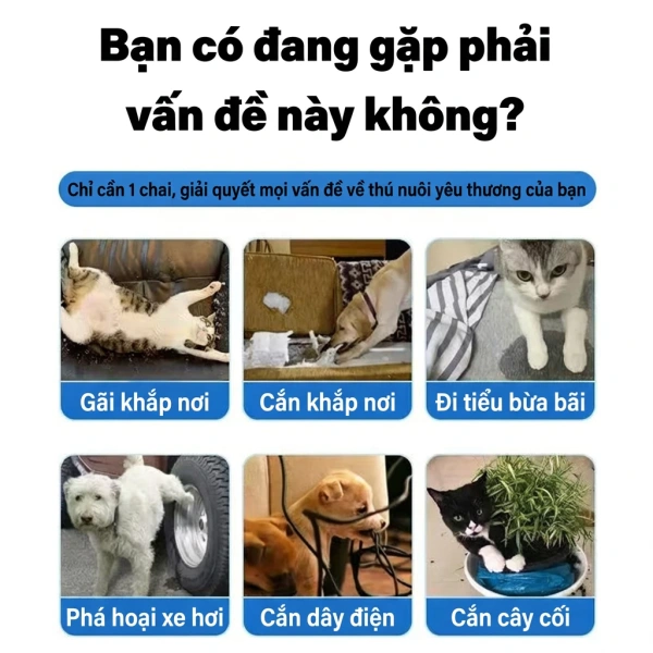 Vết cào trên nội thất giảm dần ngay khi áp dụng cách xịt đuổi chó và mèo đúng thời điểm - Ảnh 2 Vết cào trên nội thất giảm dần ngay khi áp dụng cách xịt đuổi chó và mèo đúng thời điểm - Ảnh 2