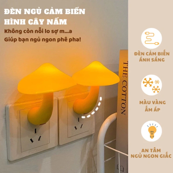 Theo nghiên cứu khoa học, ánh sáng màu xanh và ánh sáng mạnh vào ban đêm có thể ức chế việc tiết hormone melatonin – chất quan trọng giúp người ngủ sâu và hồi phục. (Ảnh 2)
