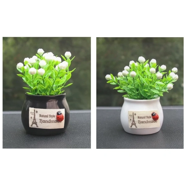 Không phải mọi chậu cây mini đều thích hợp để dán lên taplo xe. (Ảnh 3) Không phải mọi chậu cây mini đều thích hợp để dán lên taplo xe. (Ảnh 3)