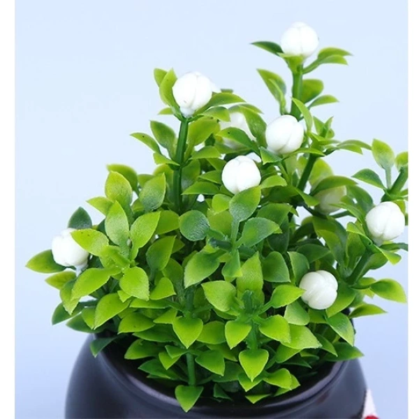 Bất ngờ khi một chậu cây mini trên bảng điều khiển ô tô biến góc làm việc thành nơi thư giãn - Ảnh 4 Bất ngờ khi một chậu cây mini trên bảng điều khiển ô tô biến góc làm việc thành nơi thư giãn - Ảnh 4