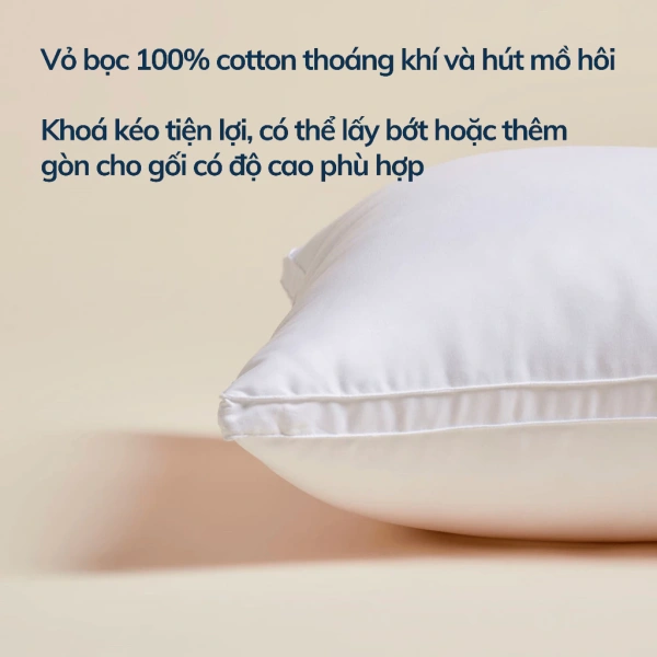 Khi mua gối nằm, người tiêu dùng thường chỉ nhìn vào kích thước tổng thể (ví dụ 50x70cm) mà không chú ý tới độ cao ruột gối. (Ảnh 2)
