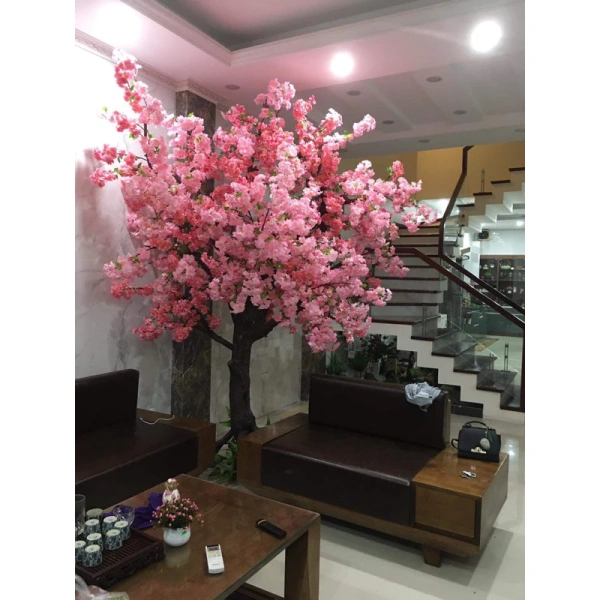 Phong thuỷ gia thường nhấn mạnh tầm quan trọng của vị trí đặt vật phẩm trang trí. (Ảnh 2)