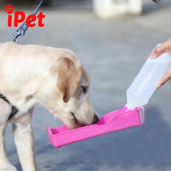 Một mẫu bình nước đáp ứng tốt các tiêu chí này sẽ giúp giảm thiểu lo lắng khi di chuyển và tăng cường sự thoải mái cho cả người và thú cưng. (Ảnh 3) Một mẫu bình nước đáp ứng tốt các tiêu chí này sẽ giúp giảm thiểu lo lắng khi di chuyển và tăng cường sự thoải mái cho cả người và thú cưng. (Ảnh 3)