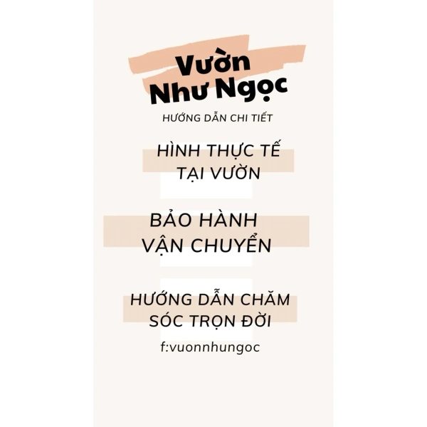 Mỗi loại cây có nhu cầu ánh sáng khác nhau. (Ảnh 3) Mỗi loại cây có nhu cầu ánh sáng khác nhau. (Ảnh 3)