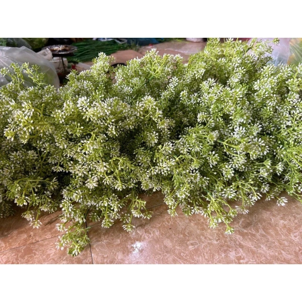 Đối với một số người, tự bảo trì tại nhà là đủ; nhưng nếu bạn muốn tối ưu hoá thời gian và hiệu quả, có thể tham khảo dịch vụ bảo quản chuyên nghiệp. (Ảnh 3) Đối với một số người, tự bảo trì tại nhà là đủ; nhưng nếu bạn muốn tối ưu hoá thời gian và hiệu quả, có thể tham khảo dịch vụ bảo quản chuyên nghiệp. (Ảnh 3)