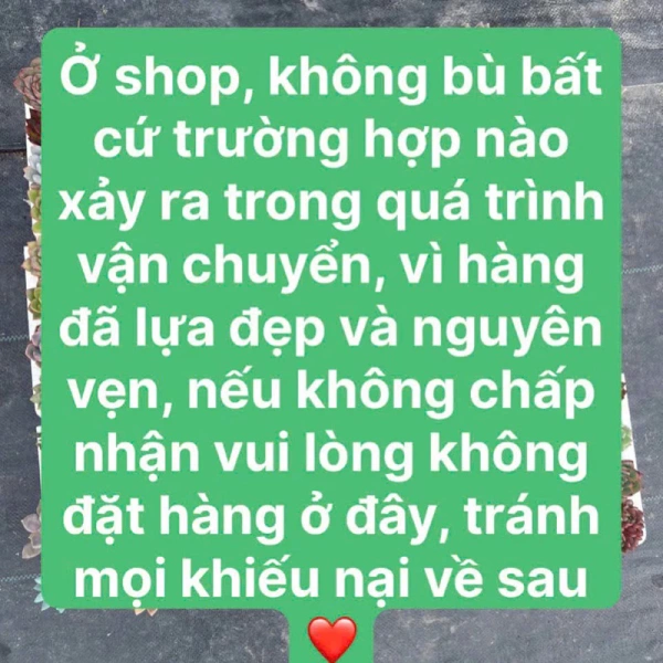 Đối với người mới bắt đầu, việc chọn lựa đá có thể mất thời gian. (Ảnh 5) Đối với người mới bắt đầu, việc chọn lựa đá có thể mất thời gian. (Ảnh 5)