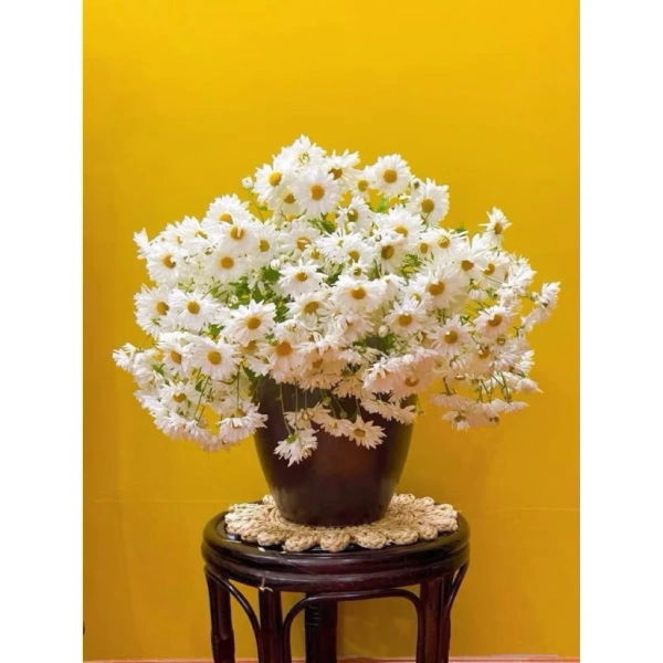 Để thảm thực sự “đỡ” được bình hoa, việc xác định khoảng cách giữa tường treo thảm và vị trí đặt bình là điều đầu tiên. (Ảnh 2)
