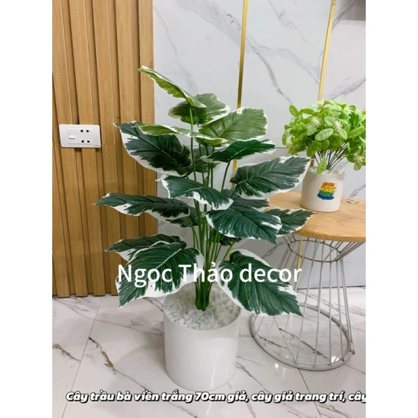 Đối với không gian nhỏ như căn hộ, studio, hay quán cafe có diện tích hạn chế, cây lá rùa giả 70 cm đem lại giá trị thẩm mỹ cao mà không cần chi phí bảo trì dài hạn. (Ảnh 5) Đối với không gian nhỏ như căn hộ, studio, hay quán cafe có diện tích hạn chế, cây lá rùa giả 70 cm đem lại giá trị thẩm mỹ cao mà không cần chi phí bảo trì dài hạn. (Ảnh 5)