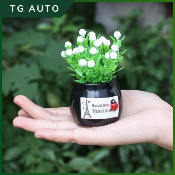 Cây mini dán cố định trên xe hoặc bàn làm việc: Khi một chậu nhỏ biến không gian bận rộn thành góc xanh thư giãn - Ảnh 1