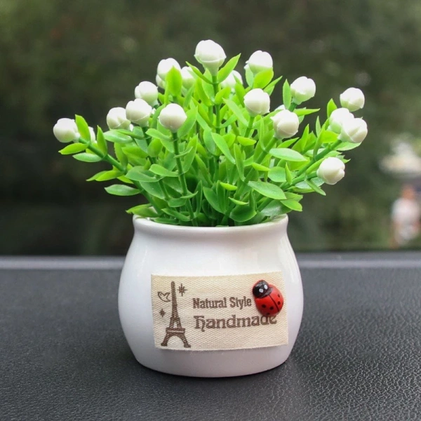 Mặc dù cây mini không thay thế cho cây thật trong việc cung cấp oxy, nhưng chúng vẫn mang lại điểm nhấn thị giác và cảm giác “gần gũi với thiên nhiên”. (Ảnh 4)