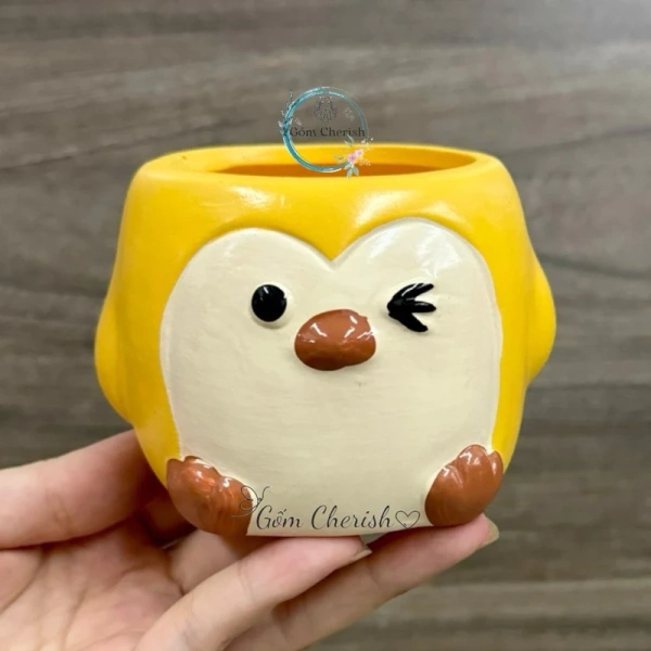 Chậu mini trồng cây cảnh xinh mắt, nhưng độ ẩm dư thừa lại làm sen đá và xương rồng dễ úa sút - Ảnh 5 Chậu mini trồng cây cảnh xinh mắt, nhưng độ ẩm dư thừa lại làm sen đá và xương rồng dễ úa sút - Ảnh 5