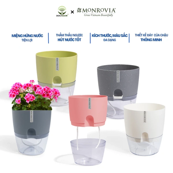 Chậu tự tưới sang trọng: Khi vẻ đẹp bên ngoài ẩn những thách thức chăm sóc cây trong văn phòng - Ảnh 2 Chậu tự tưới sang trọng: Khi vẻ đẹp bên ngoài ẩn những thách thức chăm sóc cây trong văn phòng - Ảnh 2