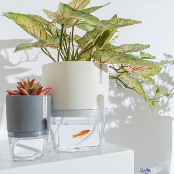 Không phải mọi chậu tự tưới đều đáp ứng được yêu cầu “sang trọng” và “hiệu quả” trong môi trường văn phòng. (Ảnh 4) Không phải mọi chậu tự tưới đều đáp ứng được yêu cầu “sang trọng” và “hiệu quả” trong môi trường văn phòng. (Ảnh 4)