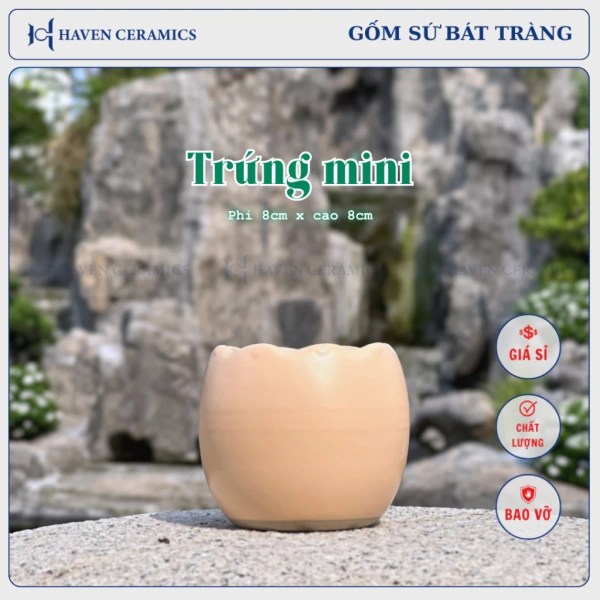Đối mặt với rất nhiều loại chậu mini hiện nay – từ nhựa, thủy tinh cho đến kim loại – việc lựa chọn đúng sản phẩm không hề đơn giản. (Ảnh 4) Đối mặt với rất nhiều loại chậu mini hiện nay – từ nhựa, thủy tinh cho đến kim loại – việc lựa chọn đúng sản phẩm không hề đơn giản. (Ảnh 4)