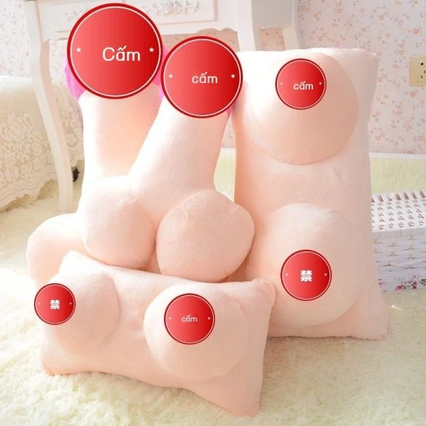 Chiếc gối ôm bất ngờ khiến buổi sinh nhật của người yêu trở nên khác biệt hơn dự định - Ảnh 1