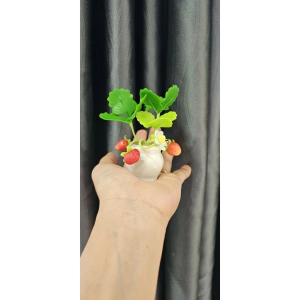 Chiều cao 12 cm của chậu đất sét mini là chi tiết mà người trồng dâu tây thường bỏ qua - Ảnh 3 Chiều cao 12 cm của chậu đất sét mini là chi tiết mà người trồng dâu tây thường bỏ qua - Ảnh 3