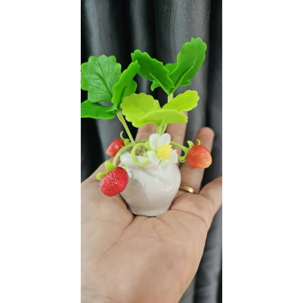 Mặc dù các tiêu chí trên đã nêu ra ưu điểm chung, nhưng không phải mọi chậu 12 cm đều tương đương. (Ảnh 4) Mặc dù các tiêu chí trên đã nêu ra ưu điểm chung, nhưng không phải mọi chậu 12 cm đều tương đương. (Ảnh 4)