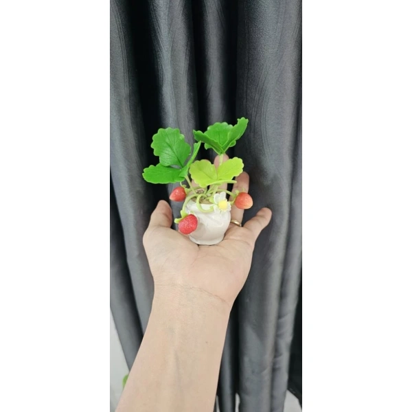 Dưới đây là quy trình chi tiết, giúp bạn tận dụng tối đa ưu điểm của chậu 12 cm. (Ảnh 5) Dưới đây là quy trình chi tiết, giúp bạn tận dụng tối đa ưu điểm của chậu 12 cm. (Ảnh 5)