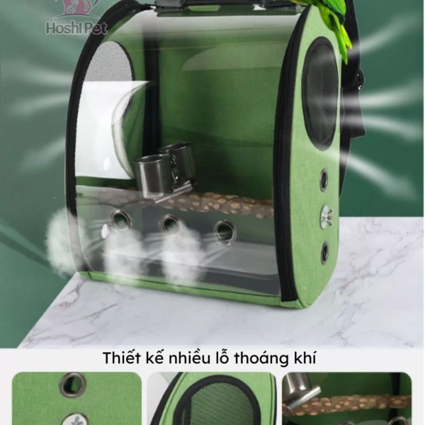 Vẹt, dù là những loài chim nhỏ, nhưng vẫn rất nhạy cảm với môi trường xung quanh. (Ảnh 2)