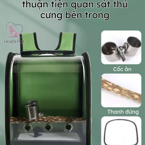 Những nhà thiết kế balo thân thiện thường đặt cây đứng phía sau lưng người mang, nhằm giảm khả năng va chạm trực tiếp với tường phía trước. (Ảnh 3)