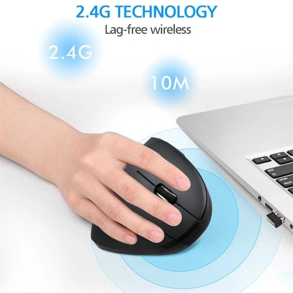 Dưới đây là bảng so sánh nhanh giữa ba mẫu chuột không dây công thái học được ưa chuộng hiện nay, bao gồm cả sản phẩm DITIPOO mà chúng tôi sẽ xem xét chi tiết hơn. (Ảnh 3) Dưới đây là bảng so sánh nhanh giữa ba mẫu chuột không dây công thái học được ưa chuộng hiện nay, bao gồm cả sản phẩm DITIPOO mà chúng tôi sẽ xem xét chi tiết hơn. (Ảnh 3)
