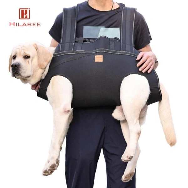 Giỏ xe đạp thường được gắn cố định vào khung xe, không linh hoạt trong việc đi bộ hoặc leo dốc. (Ảnh 3) Giỏ xe đạp thường được gắn cố định vào khung xe, không linh hoạt trong việc đi bộ hoặc leo dốc. (Ảnh 3)