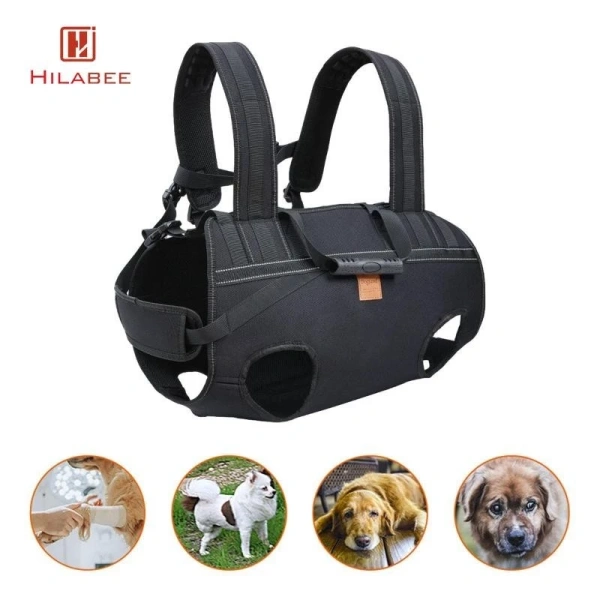 Bắt đầu bằng những chuyến đi ngắn (30‑60 phút) để thú cưng làm quen với cảm giác chịu tải và không gian. (Ảnh 4) Bắt đầu bằng những chuyến đi ngắn (30‑60 phút) để thú cưng làm quen với cảm giác chịu tải và không gian. (Ảnh 4)