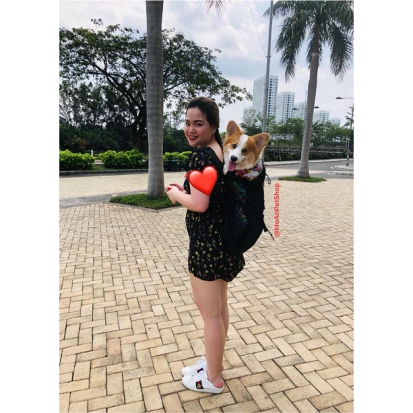 Không phải mọi balo đều phù hợp với mọi chú chó. (Ảnh 4) Không phải mọi balo đều phù hợp với mọi chú chó. (Ảnh 4)