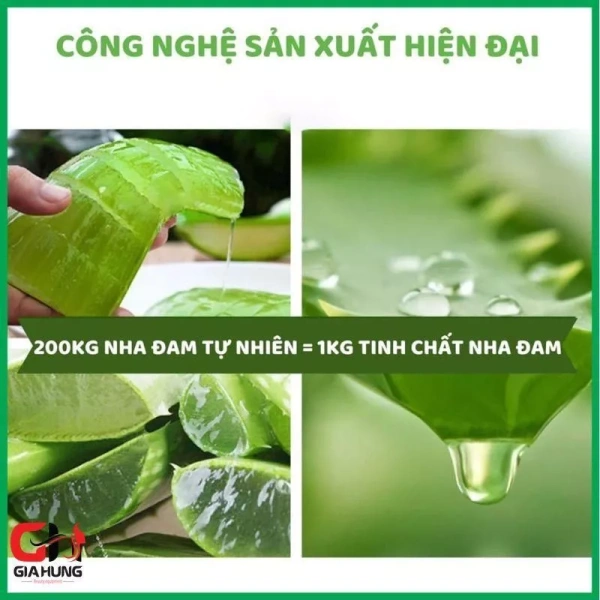 Da khô mùa hè: gel dưỡng ẩm aloe vera có thực sự duy trì độ ẩm suốt ngày hay chỉ tạm thời? - Ảnh 4 Da khô mùa hè: gel dưỡng ẩm aloe vera có thực sự duy trì độ ẩm suốt ngày hay chỉ tạm thời? - Ảnh 4