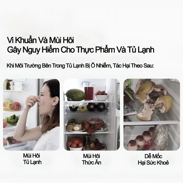 Đặt chất khử mùi trong ngăn đá: có thực sự làm tủ lạnh bớt mùi hay chỉ tốn công? - Ảnh 5 Đặt chất khử mùi trong ngăn đá: có thực sự làm tủ lạnh bớt mùi hay chỉ tốn công? - Ảnh 5