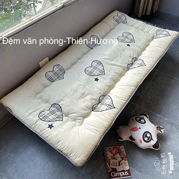 Đệm gập gọn cho du lịch: tại sao cảm giác ngủ ngon không luôn đồng hành cùng sự tiện lợi. - Ảnh 2