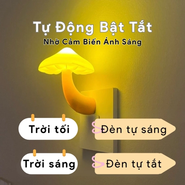 Đọc sách vào ban đêm không phải là một hoạt động đơn thuần; nó đòi hỏi ánh sáng vừa đủ để mắt không mỏi, đồng thời không gây chói lóa hay gián đoạn. (Ảnh 3)