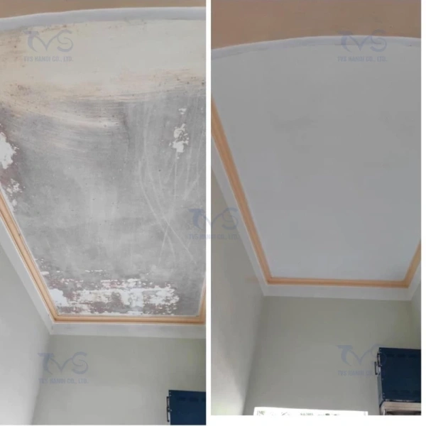 Nước Tẩy Mốc TVS HT01 được sản xuất tại Hà Nội, chứa Sodium Hypochlorite 12 % và Sodium Hydroxide, là giải pháp đa năng cho mọi bề mặt như tường, trần, gỗ, roang cao su, thậm chí là quần áo trắng. (Ảnh 5)