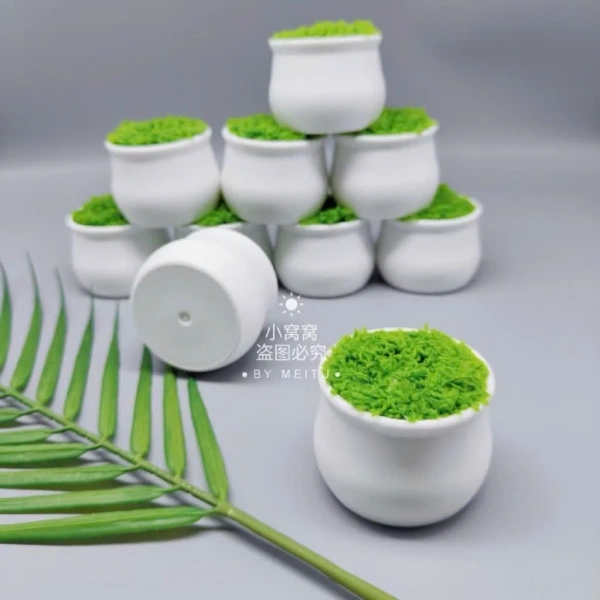 Độ bền của chậu mini có lớp xốp và cỏ xanh chỉ hiện rõ sau một vài tuần sử dụng - Ảnh 3 Độ bền của chậu mini có lớp xốp và cỏ xanh chỉ hiện rõ sau một vài tuần sử dụng - Ảnh 3
