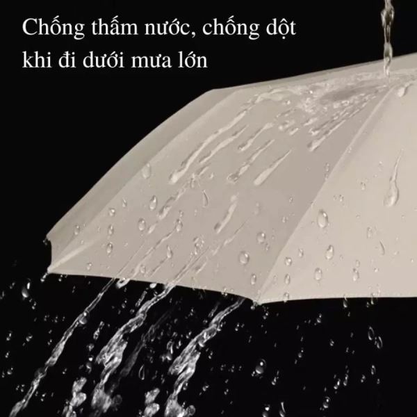 Trong thị trường hiện nay có rất nhiều mẫu dù tự động đa dạng về chất lượng và giá cả. (Ảnh 3)