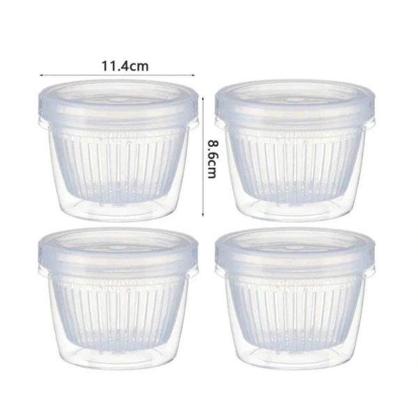 Hộp đựng hành tỏi gừng kín mà mùi vẫn lan trong tủ lạnh: nguyên nhân và cách khắc phục - Ảnh 5