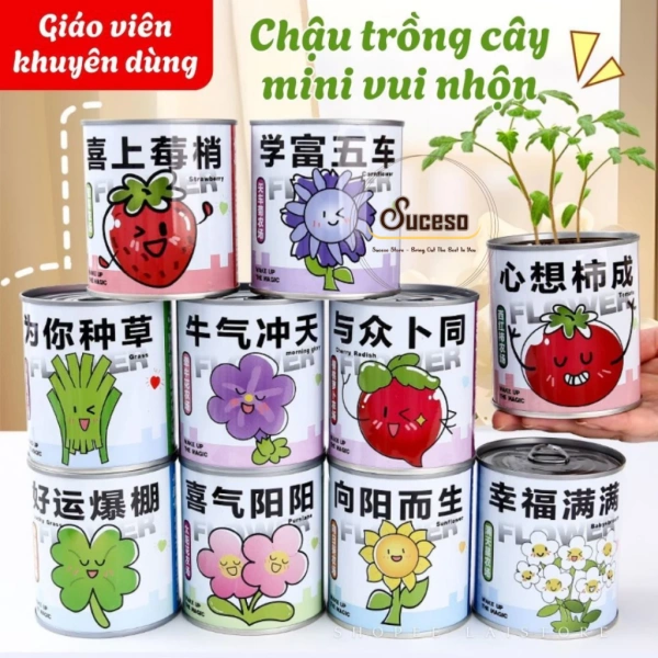 Rễ cây hoạt động giống như “cửa sông” hút nước và chất dinh dưỡng từ đất. (Ảnh 2) Rễ cây hoạt động giống như “cửa sông” hút nước và chất dinh dưỡng từ đất. (Ảnh 2)