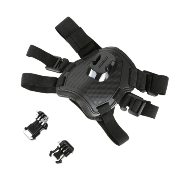 Khi dây đeo camera cho chó lớn quá chặt, những khoảnh khắc phiêu lưu bất ngờ lại bị gián đoạn. - Ảnh 2 Khi dây đeo camera cho chó lớn quá chặt, những khoảnh khắc phiêu lưu bất ngờ lại bị gián đoạn. - Ảnh 2