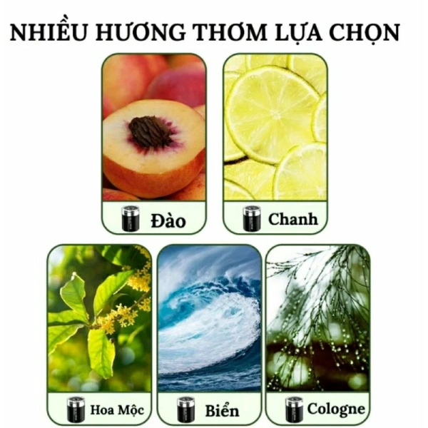 Hương thơm là một phần của “bộ công cụ” giảm say xe. (Ảnh 4) Hương thơm là một phần của “bộ công cụ” giảm say xe. (Ảnh 4)