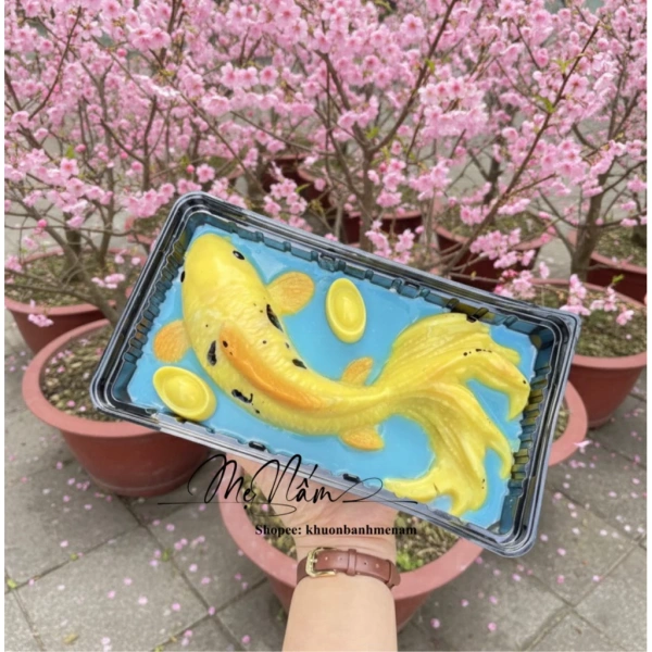 Trên thị trường, ngoài vỉ nhựa còn có các loại khuôn kim loại và silicone. (Ảnh 4)