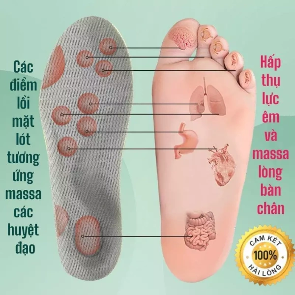 Giày cao gót thay đổi vị trí trọng tâm của cơ thể, buộc các cơ và dây chằng chân phải làm việc mạnh hơn để duy trì thăng bằng. (Ảnh 2) Giày cao gót thay đổi vị trí trọng tâm của cơ thể, buộc các cơ và dây chằng chân phải làm việc mạnh hơn để duy trì thăng bằng. (Ảnh 2)
