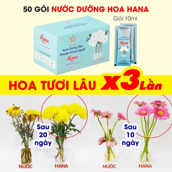 Đa phần các dung dịch dưỡng hoa hiện nay dựa trên ba nguyên tắc chính: điều hòa độ pH, cung cấp dinh dưỡng và ức chế vi sinh vật. (Ảnh 2)