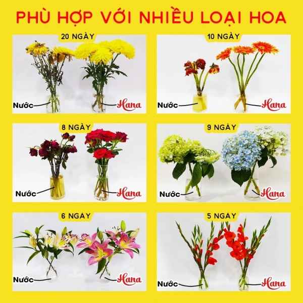 Nước dưỡng hoa Hana được thiết kế theo công thức cân bằng giữa ion bạc và các chất dinh dưỡng thiết yếu, mang lại hiệu quả vượt trội trong việc bảo vệ hoa không thối rễ. (Ảnh 3)