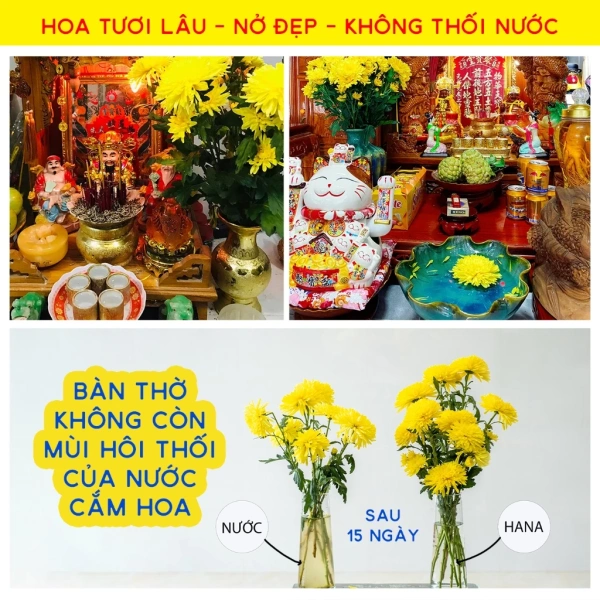 Khi nước dưỡng hoa thực sự ngăn thối, hoa tươi lâu hơn mong đợi - Ảnh 5