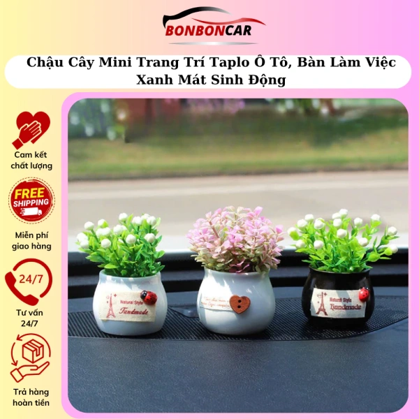 Không gian xanh từ chậu cây mini trên ô tô và bàn làm việc: lợi ích vô hình và rủi ro dễ bỏ qua - Ảnh 1 Không gian xanh từ chậu cây mini trên ô tô và bàn làm việc: lợi ích vô hình và rủi ro dễ bỏ qua - Ảnh 1