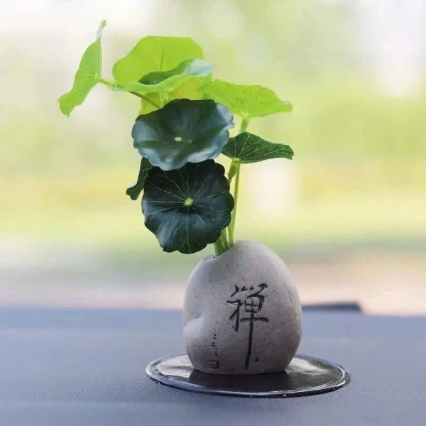 Do vậy, khi quyết định mua và đặt chậu cây mini, người dùng cần cân nhắc về vị trí, độ bền và phương pháp cố định sao cho phù hợp với từng môi trường sử dụng. (Ảnh 4) Do vậy, khi quyết định mua và đặt chậu cây mini, người dùng cần cân nhắc về vị trí, độ bền và phương pháp cố định sao cho phù hợp với từng môi trường sử dụng. (Ảnh 4)