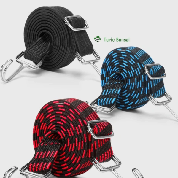 Kích thước lớn của dây điều chỉnh co giãn thường bị bỏ qua, nhưng lại ảnh hưởng đáng kể tới cảm giác mặc hàng ngày - Ảnh 1