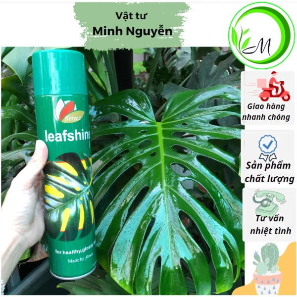 Rắc nước lên lá thường được cho là “cách nhanh” để cung cấp độ ẩm. (Ảnh 2)
